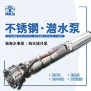 匠心品质 服务全球！潜没泵专业生产厂商——奥特泵业参展cippe2021